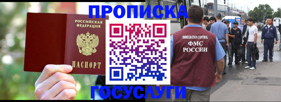 прописка поиск в Новгородской области